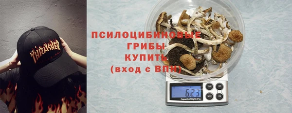 прущие грибы Армянск