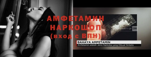 прущие грибы Армянск