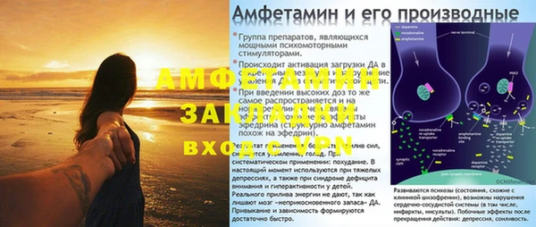 прущие грибы Армянск