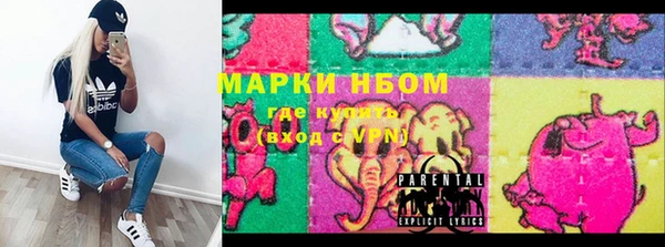 прущие грибы Армянск