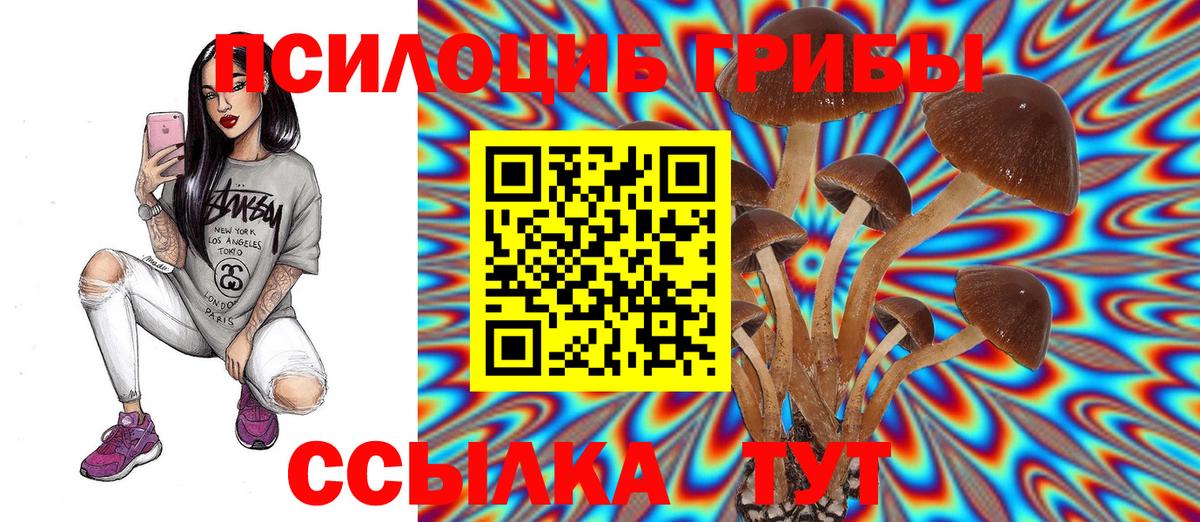 Галлюциногенные грибы Psilocybine cubensis Канаш
