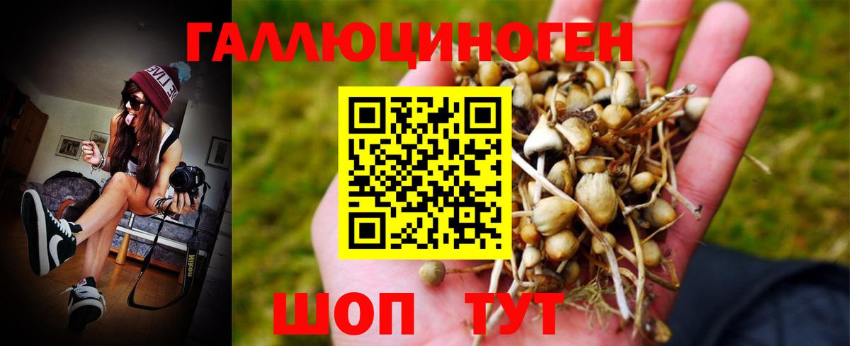 Галлюциногенные грибы MAGIC MUSHROOMS  Вход с VPN  Канаш  Галлюциногенные грибы MAGIC MUSHROOMS 